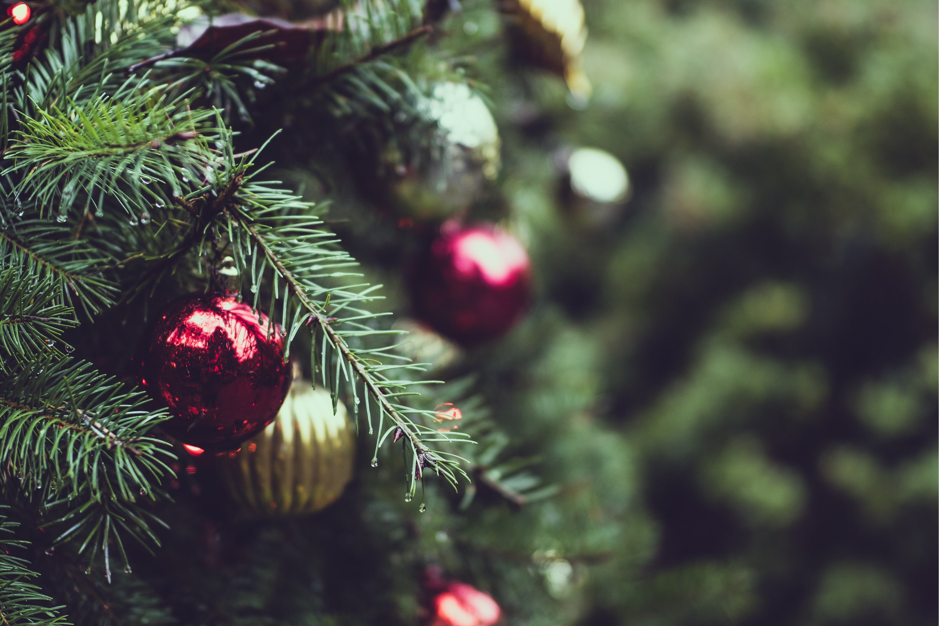Christmas Tree Ornaments Zoom Background (Free) – Christmas HQ